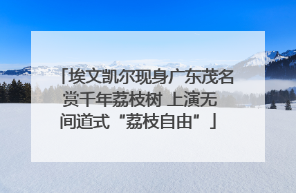 埃文凯尔现身广东茂名 赏千年荔枝树 上演无间道式“荔枝自由”