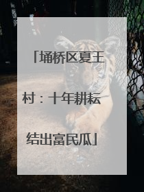 埇桥区夏王村：十年耕耘结出富民瓜