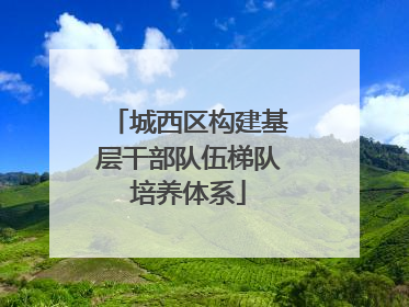 城西区构建基层干部队伍梯队培养体系