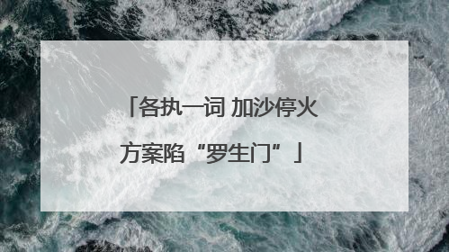 各执一词 加沙停火方案陷“罗生门”