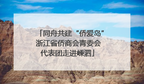 同舟共建“侨爱岛” 浙江省侨商会青委会代表团走进嵊泗