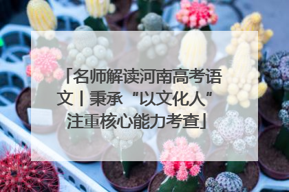 名师解读河南高考语文丨秉承“以文化人” 注重核心能力考查