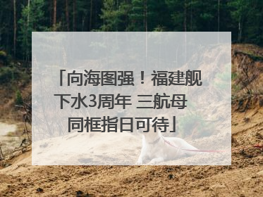 向海图强！福建舰下水3周年 三航母同框指日可待