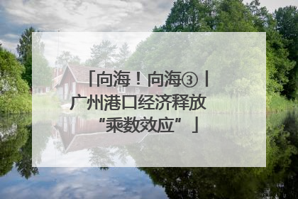 向海！向海③丨广州港口经济释放“乘数效应”