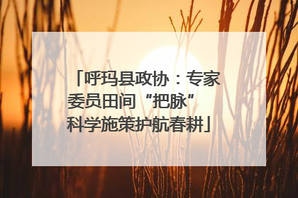 呼玛县政协：专家委员田间“把脉” 科学施策护航春耕