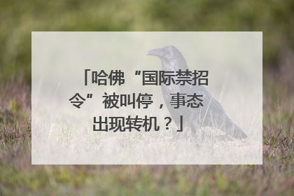 哈佛“国际禁招令”被叫停，事态出现转机？