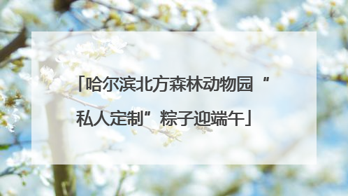哈尔滨北方森林动物园“私人定制”粽子迎端午