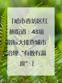 哈市香坊区红旗街道：43项指标大排查城市治理“有数有温度”