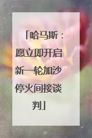 哈马斯：愿立即开启新一轮加沙停火间接谈判