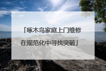 啄木鸟家庭上门维修在规范化中寻找突破