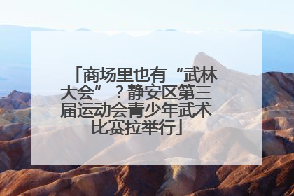 商场里也有“武林大会”？静安区第三届运动会青少年武术比赛拉举行