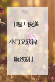 嘿！快递小哥又获锦旗致谢