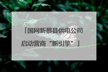 国网新蔡县供电公司启动营商“新引擎”