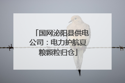 国网泌阳县供电公司：电力护航夏粮颗粒归仓