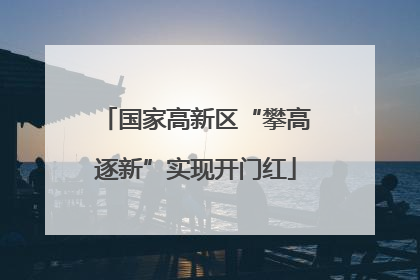 国家高新区“攀高逐新”实现开门红
