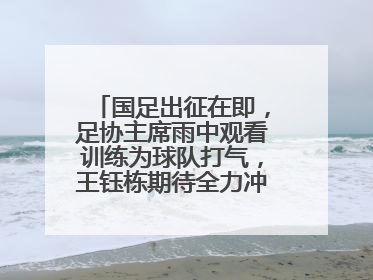 国足出征在即，足协主席雨中观看训练为球队打气，王钰栋期待全力冲击印尼队