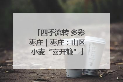 四季流转 多彩枣庄｜枣庄：山区小麦“喜开镰”