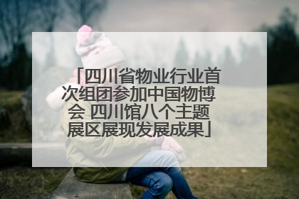 四川省物业行业首次组团参加中国物博会 四川馆八个主题展区展现发展成果