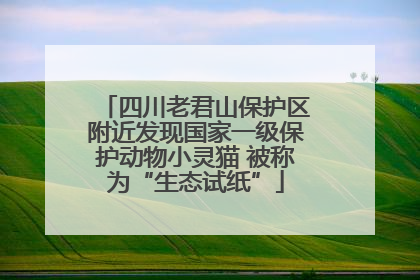 四川老君山保护区附近发现国家一级保护动物小灵猫 被称为“生态试纸”