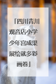 四川青川观音店小学少年宫成果展绘就多彩画卷