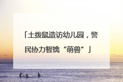 土拨鼠造访幼儿园，警民协力智擒“萌兽”