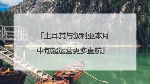 土耳其与叙利亚本月中旬起运营更多直航