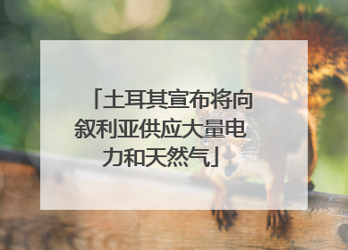 土耳其宣布将向叙利亚供应大量电力和天然气