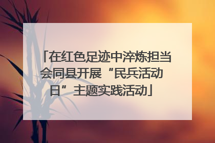 在红色足迹中淬炼担当 会同县开展“民兵活动日”主题实践活动