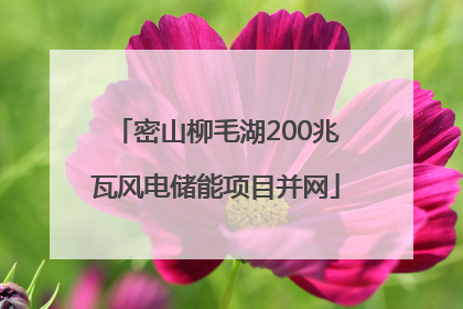密山柳毛湖200兆瓦风电储能项目并网