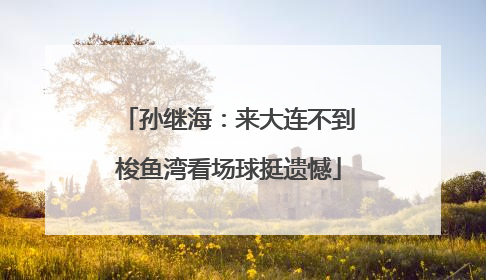 孙继海：来大连不到梭鱼湾看场球挺遗憾