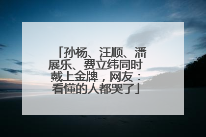 孙杨、汪顺、潘展乐、费立纬同时戴上金牌，网友：看懂的人都哭了