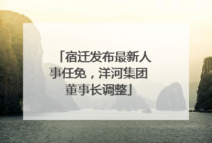 宿迁发布最新人事任免，洋河集团董事长调整