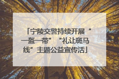 宁陵交警持续开展“一盔一带”“礼让斑马线”主题公益宣传活