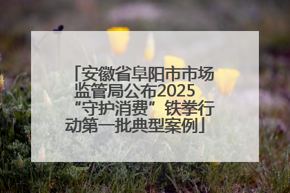 安徽省阜阳市市场监管局公布2025“守护消费”铁拳行动第一批典型案例