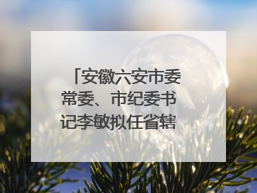 安徽六安市委常委、市纪委书记李敏拟任省辖市市委副书记