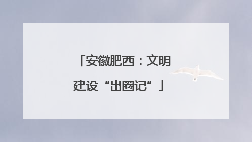 安徽肥西：文明建设“出圈记”
