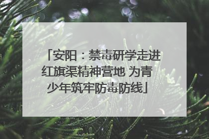 安阳：禁毒研学走进红旗渠精神营地 为青少年筑牢防毒防线