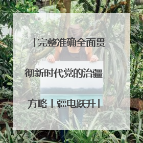 完整准确全面贯彻新时代党的治疆方略丨疆电跃升