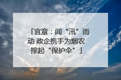 宜章：闻“汛”而动 政企携手为烟农撑起“保护伞”