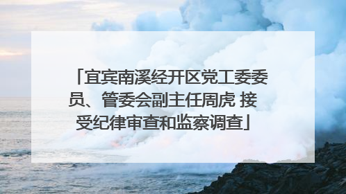 宜宾南溪经开区党工委委员、管委会副主任周虎 接受纪律审查和监察调查