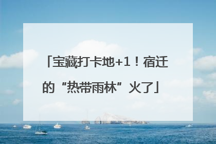 宝藏打卡地+1！宿迁的“热带雨林”火了