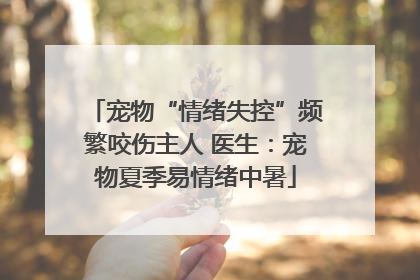 宠物“情绪失控”频繁咬伤主人 医生：宠物夏季易情绪中暑