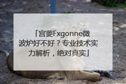 宫菱Fxgonne微波炉好不好？专业技术实力解析，绝对真实