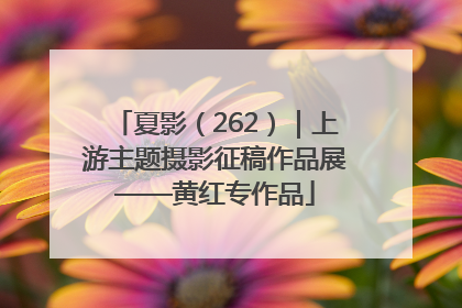 夏影（262）｜上游主题摄影征稿作品展——黄红专作品