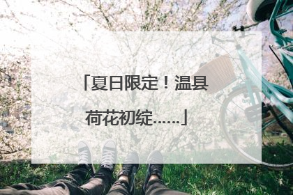 夏日限定！温县荷花初绽……