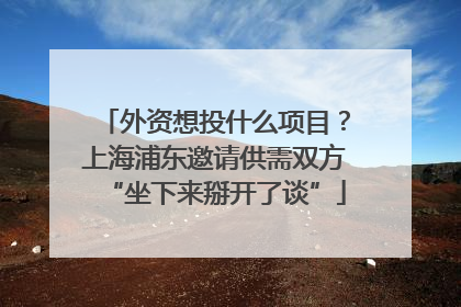外资想投什么项目？上海浦东邀请供需双方“坐下来掰开了谈”
