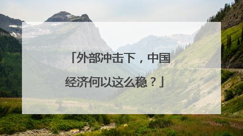 外部冲击下，中国经济何以这么稳？
