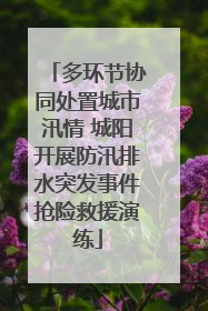 多环节协同处置城市汛情 城阳开展防汛排水突发事件抢险救援演练