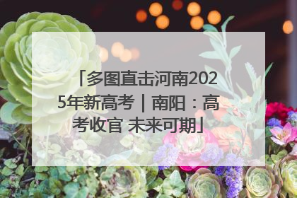 多图直击河南2025年新高考｜南阳：高考收官 未来可期