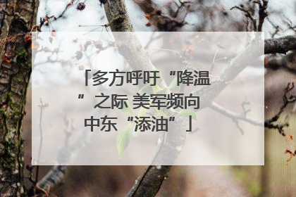 多方呼吁“降温”之际 美军频向中东“添油”